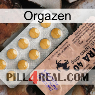 Orgazen 41